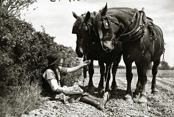 A farmer takes a break with his 2 horses after ploughing his field. circa 1934