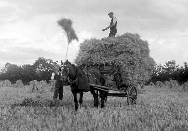 Farmers at work, harvesting crops at their farm in Cullompton