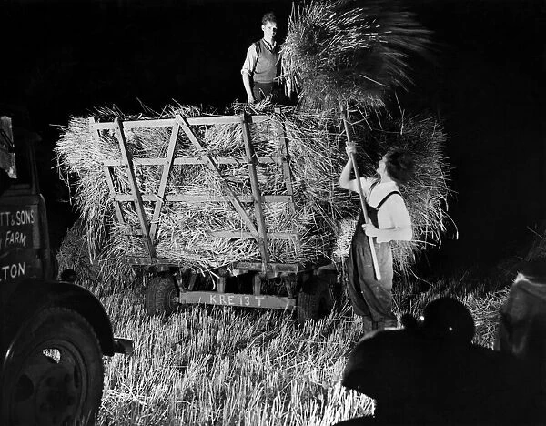 Farming: The harvest at Barn Farm, Hilton, Lichfield, being gathered in at night by light