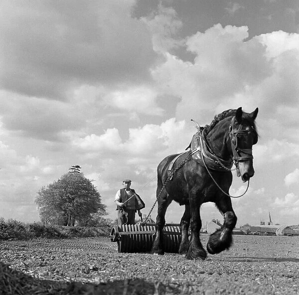 Farming in Lincolnshire. 27th April 1961