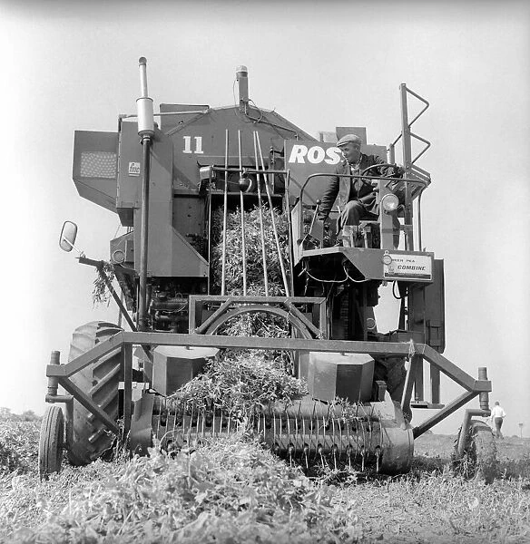 Farming: Ross Pea picking machine. 1964 A1201-004