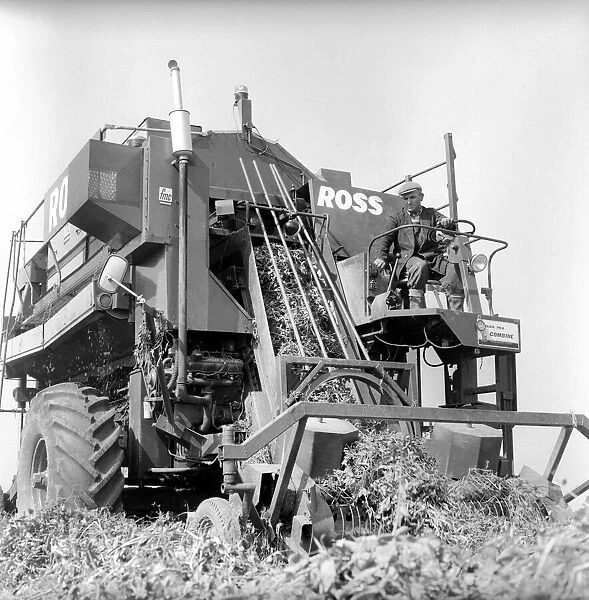 Farming: Ross Pea picking machine. 1964 A1201-005