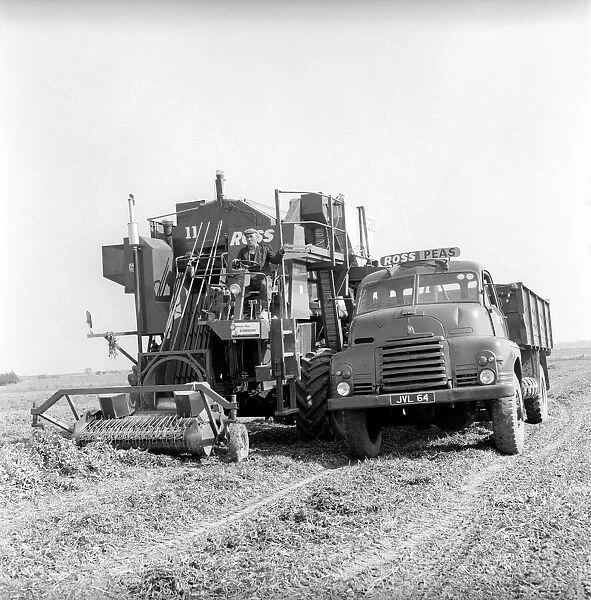 Farming: Ross Pea picking machine. 1964 A1201-006