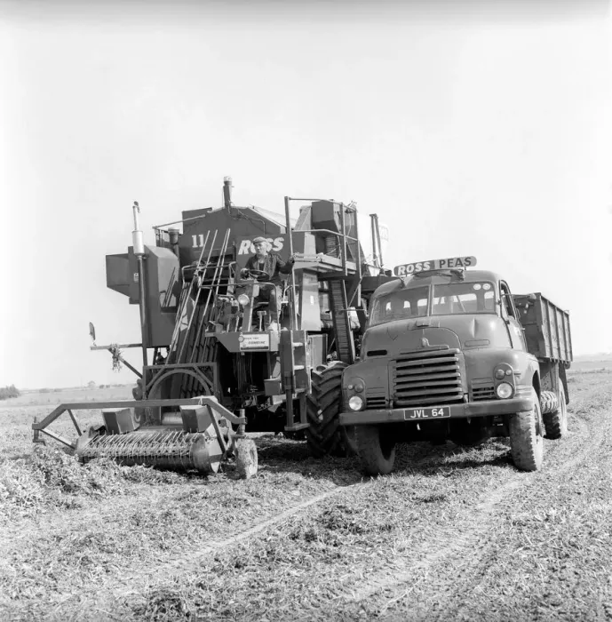 Framed Print : Farming: Ross Pea picking machine. 1964 A1201-006 Framed Print : Farming: Ross Pea picking machine. 1964 A1201-006