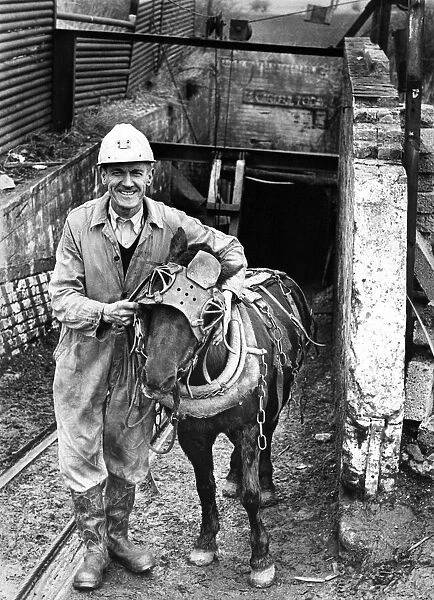 Farrier Bob dixon and pit pony Colin who will both retire from pit work when