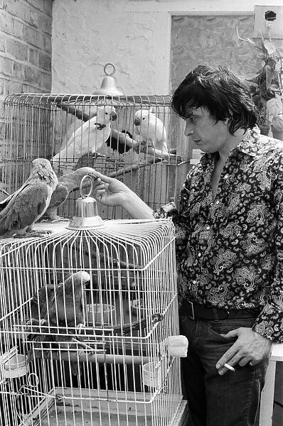 Fashion photographer David Bailey pictured at home with some of his 40 parrots