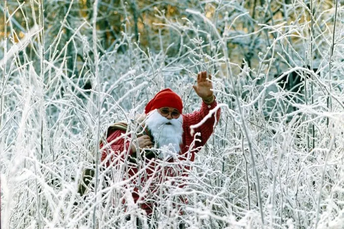 Framed Print : Father Christmas waves as he stand amongst snow covered plants December 1991 Framed Print : Father Christmas waves as he stand amongst snow covered plants December 1991