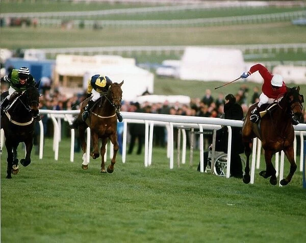 The Fellow wins the Steeple Chase from Jodami and Young Hustler at Cheltenham Festival