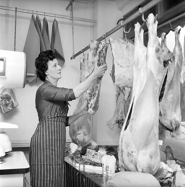 A female butcher seen here at work in her shop, hanging up joints on the rack ready to be