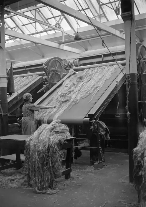 Framed Print : Female worker breaking jute in Dundee Jute Mill, Dundee, Scotland. 16 October 1931 Framed Print : Female worker breaking jute in Dundee Jute Mill, Dundee, Scotland. 16 October 1931