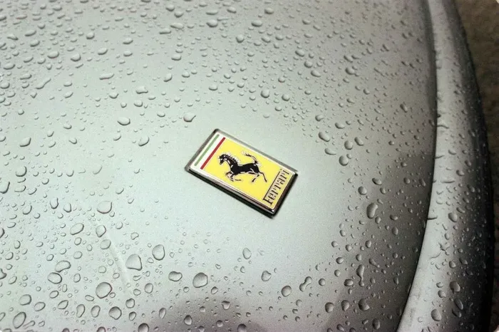 Framed Print : FERRARI CARS AT GLENEAGLES HOTEL February 1999 550 MARANELLO (SILVER) badge Framed Print : FERRARI CARS AT GLENEAGLES HOTEL February 1999 550 MARANELLO (SILVER) badge