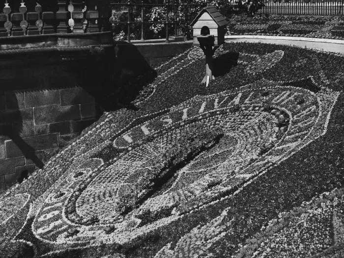 Framed Print : Festival of Britain 1951 dinburgh Old Historical floral clock display Framed Print : Festival of Britain 1951 dinburgh Old Historical floral clock display
