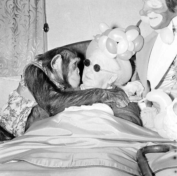 Fifi the Chimpaneze seen here kissing her owner. September 1956