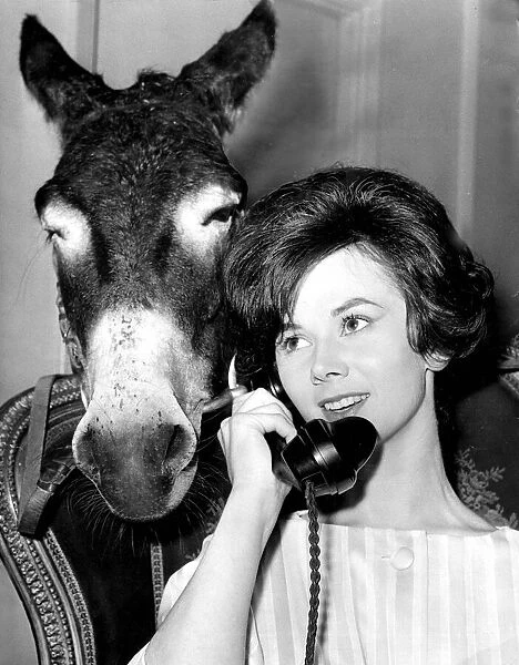 Fifi the donkey made sure she got a look-in with model girl Ann Mollo