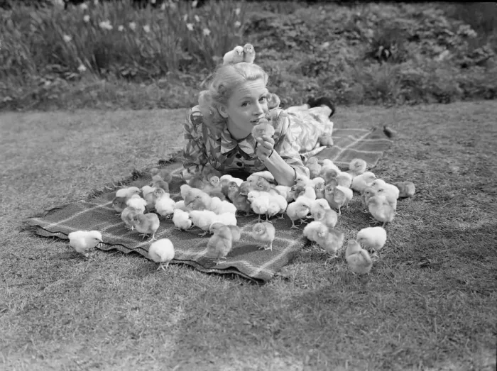 Framed Print : Film Actress Pat Dainton with Easter Chicks 023473 / 1 Framed Print : Film Actress Pat Dainton with Easter Chicks 023473 / 1