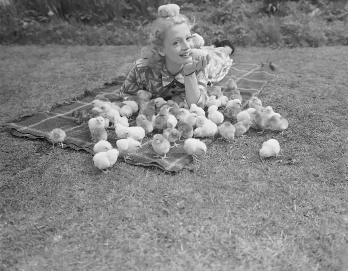 Framed Print : Film Actress Pat Dainton with Easter Chicks. 1950 023473 / 2 Framed Print : Film Actress Pat Dainton with Easter Chicks. 1950 023473 / 2