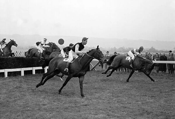 First day of the Cheltenham Festival 1960. No. 8 Fallodon leads the 1st Race