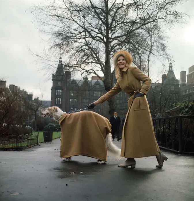 Framed Print : The first maxi coat for dogs gets its maiden outing in London with model Vicki Hodge Framed Print : The first maxi coat for dogs gets its maiden outing in London with model Vicki Hodge
