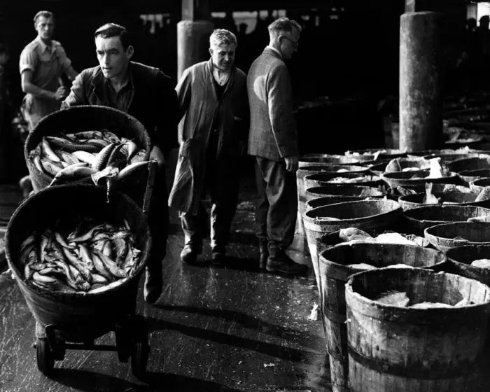 Framed Print : Fish market at Fleetwood August 1947 Framed Print : Fish market at Fleetwood August 1947