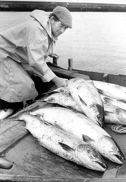 Fisherman John Rutherford sorts his catch in 1980