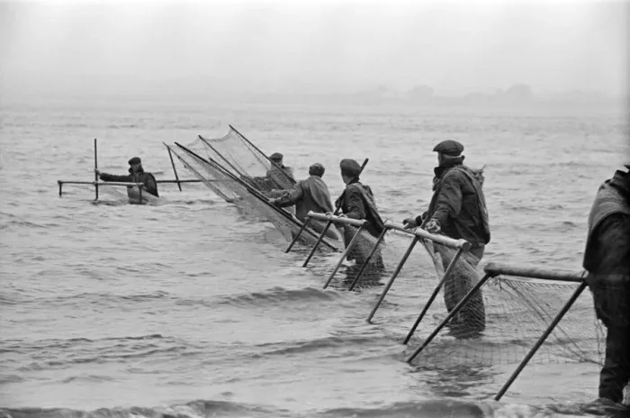 Framed Print : Fishermen fishing in the sea in Solway. The Solway Firth is a firth that forms part of