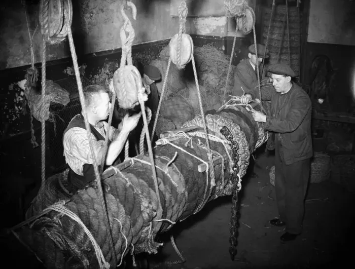 Framed Print : Fishermen seen here making a new fender for the fishing fleet moored in the Cornish Framed Print : Fishermen seen here making a new fender for the fishing fleet moored in the Cornish