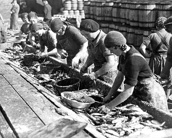 Fisherwomen cleaning fish on North Shields Fish Quay in 1931