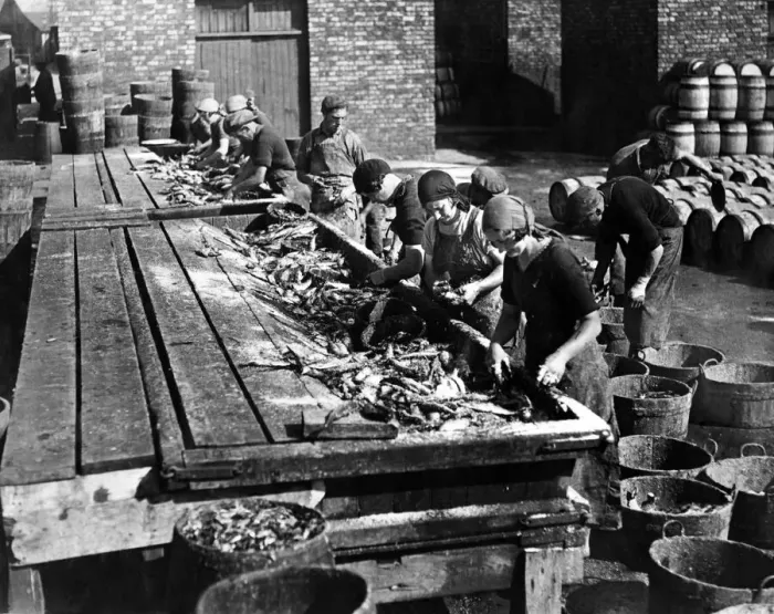 Framed Print : Fishing boom continues - Scottish fisher girls busy at North Shields Fish Quay Framed Print : Fishing boom continues - Scottish fisher girls busy at North Shields Fish Quay