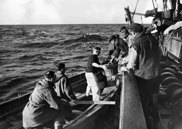 Framed Print : Fishing Fleet helps the Navy These Fishing Trawler men believe that one good turn Framed Print : Fishing Fleet helps the Navy These Fishing Trawler men believe that one good turn