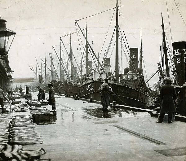 Part of the fishing fleet unloading their catch at the fish market at Aberdeen Harbour