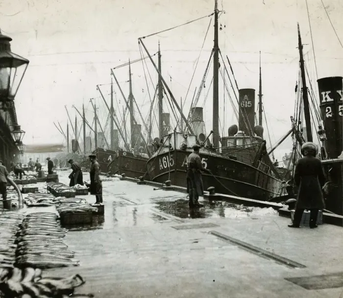Framed Print : Part of the fishing fleet unloading their catch at the fish market at Aberdeen Harbour