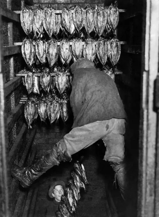 Framed Print : Fishing Industry: Herring. Kippers being smoked. Februrary 1986 P000705 Framed Print : Fishing Industry: Herring. Kippers being smoked. Februrary 1986 P000705