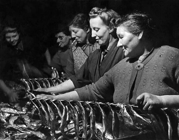 Fishing Industry: Herrings. The lady nearest camera is Mrs
