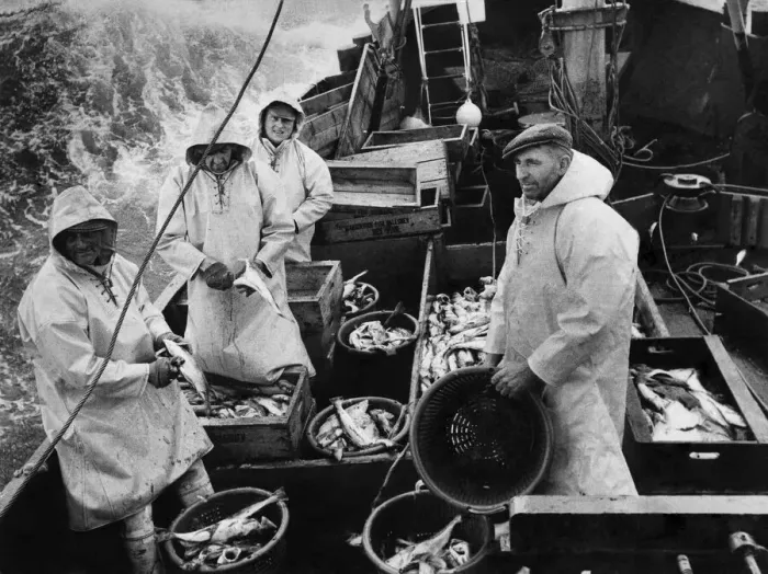 Framed Print : Fishing Industry. Skipper Pashhby with his crew aboard the Elizabeth