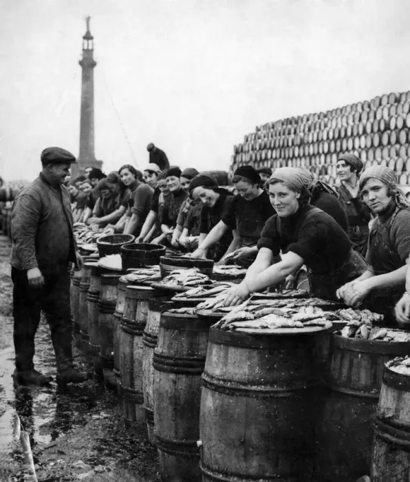 Framed Print : Fishing Industry. Yarmouth fisherwomen gutting herring. October 1936 P002014 Framed Print : Fishing Industry. Yarmouth fisherwomen gutting herring. October 1936 P002014