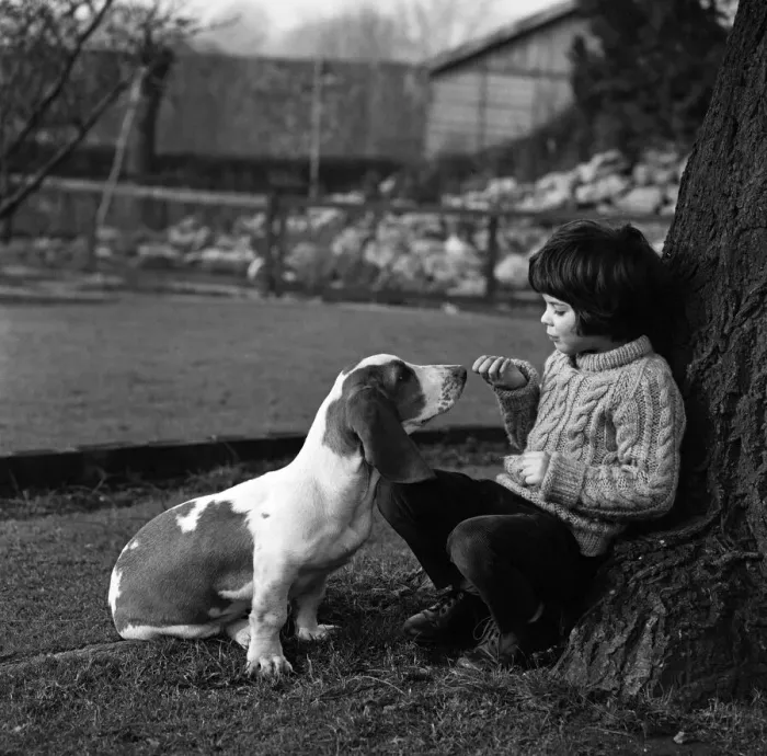 Framed Print : Five-year-old Caroline Williams of Northwood Hills with five-month-old Basset Hound puppy Framed Print : Five-year-old Caroline Williams of Northwood Hills with five-month-old Basset Hound puppy