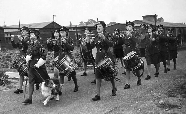 Flight Sergeant Wimpy is the Welsh Collie mascot of the WaF band at a RAF station in