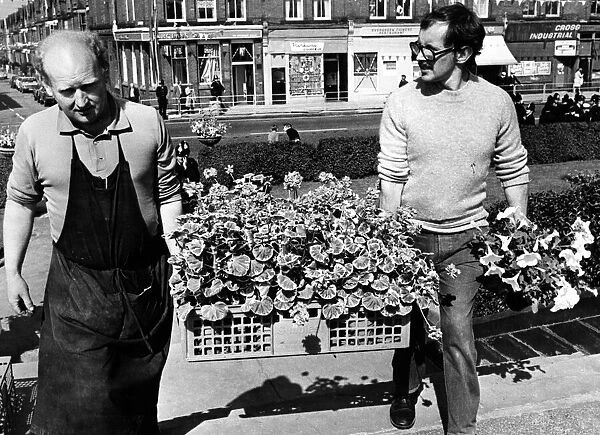 Flowers by the box load being carried into Stanley Park, Bootle