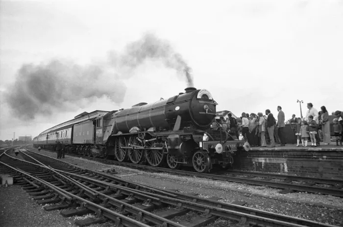 Framed Print : The Flying Scotsman arriving at Didcot, Oxfordshire, 15th June 1974 Gentle giant Framed Print : The Flying Scotsman arriving at Didcot, Oxfordshire, 15th June 1974 Gentle giant