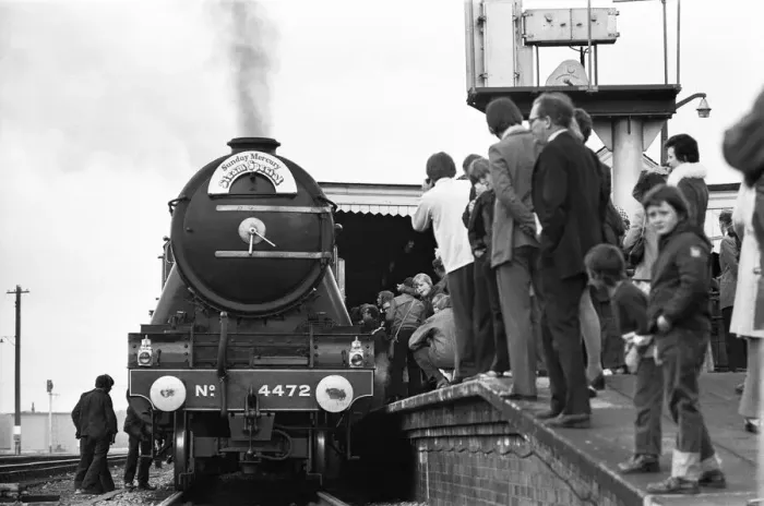 Framed Print : The Flying Scotsman arriving at Didcot, Oxfordshire, 15th June 1974 Gentle giant Framed Print : The Flying Scotsman arriving at Didcot, Oxfordshire, 15th June 1974 Gentle giant
