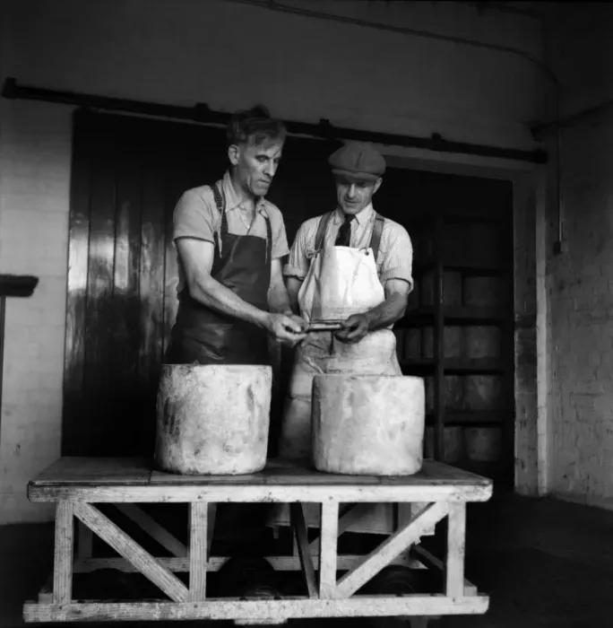 Framed Print : Food, cheese. Jack Wilding, head cheesemaker at Minsterley Creameries