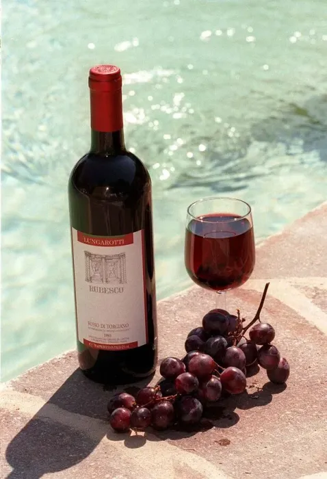 Framed Print : Food and Drink Bottle of Italian Red Wine from Umbria with Grapes and Glass Framed Print : Food and Drink Bottle of Italian Red Wine from Umbria with Grapes and Glass