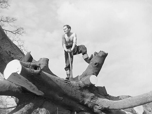 Forestry Training School Paul Sladen -- Trainee Lumberjack with axe