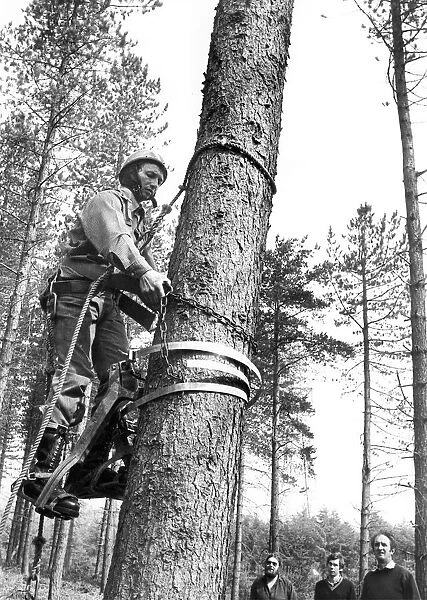Forestry worker Alan Page, of Rowlands Gill, demonstrates a tree bicycle at Chopwell