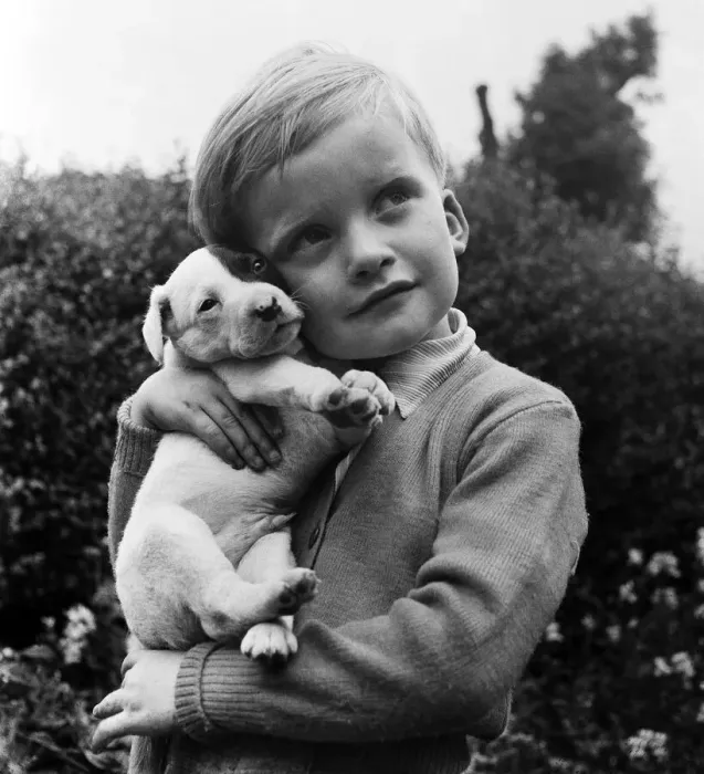 Framed Print : Four-year old Ryan Widdowson of Meanwood, Leeds, holds his new puppy, Whiskey