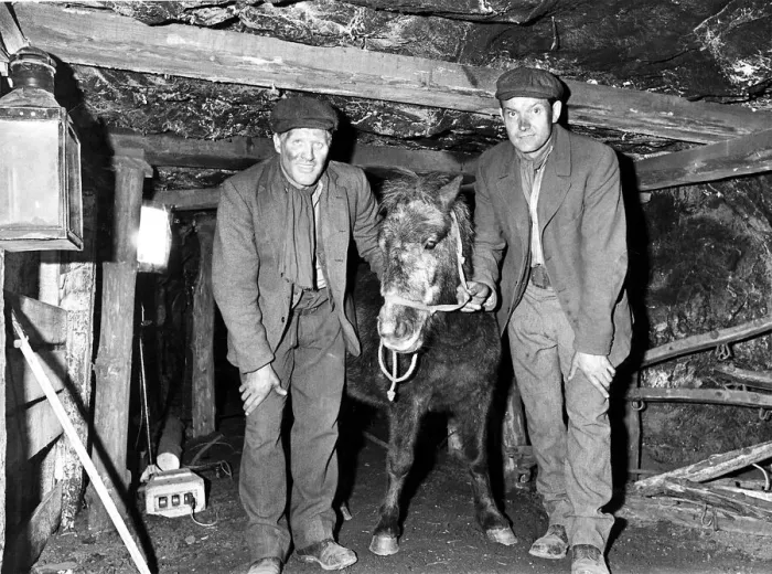 Framed Print : Frank Clough (left) and Bobby Bell (Right) the two miners from County Durham pictures Framed Print : Frank Clough (left) and Bobby Bell (Right) the two miners from County Durham pictures