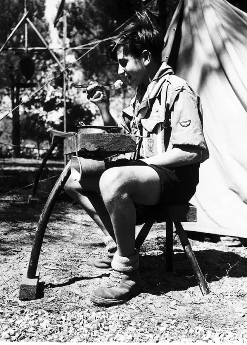 Framed Print : A French Boy scout attending the Scouts World Jamboree which is in Moisson near Paris Framed Print : A French Boy scout attending the Scouts World Jamboree which is in Moisson near Paris