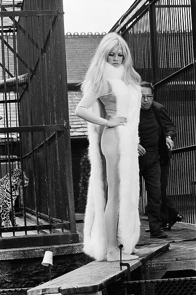 French film actress Brigitte Bardot on location at London Zoo during filming of her
