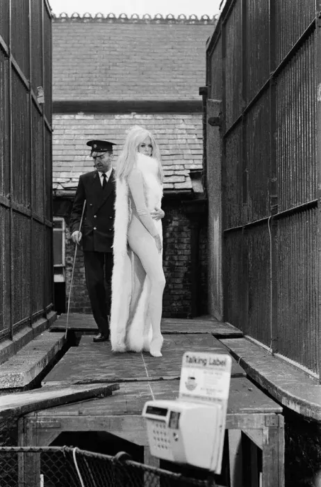 Framed Print : French film actress Brigitte Bardot on location at London Zoo during filming of her Framed Print : French film actress Brigitte Bardot on location at London Zoo during filming of her