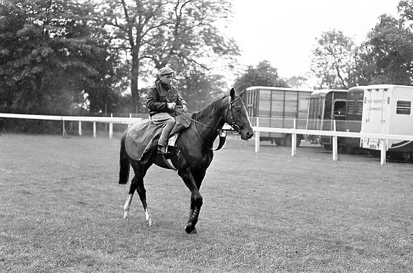 French horse Sea Bird II in training the day before the Epsom Derby horse race